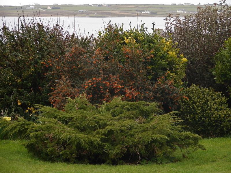 Drom Caoin Bed & Breakfast Belmullet Exterior photo